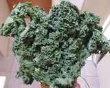 Foto del paso 2 de la receta: Salteado de kale, cebolla y ajo