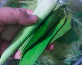 Foto langkah ke 1 dari resep 738. Sayur Godog Betawi (Sayur Ketupat) Simpel, Cocok Untuk Menu Lebaran.