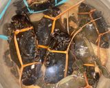 Foto langkah ke 1 dari resep Kepiting pedas manis #22.
