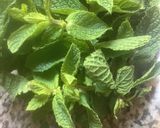 Une image de l'étape 3 de 🍋🍸Virgin 🐞🌿🍡🧋Mojito cocktail 🍹🌱.