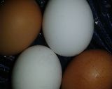 Foto del paso 3 de la receta: Budín de pan