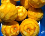 Foto del paso 1 de la receta: Mermelada de naranja