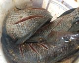 Foto del paso 2 de la receta: Mojarra frita con ajillo y mantequilla al limón
