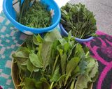 A picture of step 1 of Mix saag { Methi, Sarson, Suva, thom(spring onion green) }.