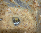 A picture of step 1 of Banana Dates milkshake.