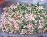 A picture of step 3 of Chicken shawarma.