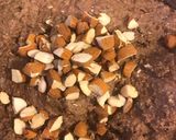 Foto del paso 3 de la receta: Brownies de frijoles