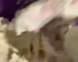 A picture of step 3 of Oliviana bread 🍞.