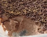 Foto do passo 6 de Sorvete de brigadeiro simples