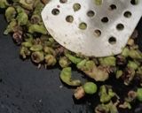 Crispy matar roll रेसिपी चरण 2 फोटो