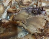 Foto langkah ke 3 dari resep Ayam Bakar Madu Rempah.