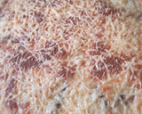 Foto del paso 13 de la receta: Musaca