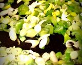 Foto del paso 3 de la receta: Pasta con salsa de queso y verdeo