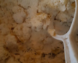 Foto del paso 8 de la receta: Ñoquis