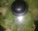 Foto del paso 2 de la receta: Brócoli a la antigua