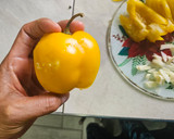 Foto del paso 4 de la receta: Verduras en vinagre