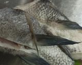 鯛魚下巴湯的食譜步驟1照片