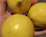 Foto del paso 5 de la receta: Pastel limón diabéticos