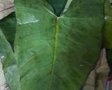 A picture of step 1 of Patra/Aluwadi.