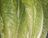 Foto del paso 4 de la receta: Enfrijoladas fit. 🥗