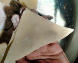 Foto langkah ke 6 dari resep Wonton Soup.