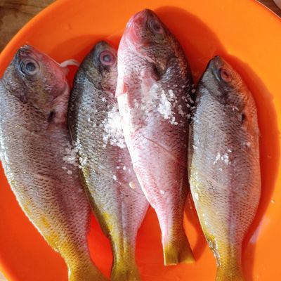 Langkah 1