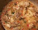 Foto del paso 16 de la receta: Sopa de pollo silvestre con verduras