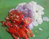 Foto langkah ke 4 dari resep TUMIS GENJER TAHU (ANTI PAHIT).