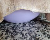 Foto del paso 8 de la receta: Pan de lentejas (sin remojar) y avena