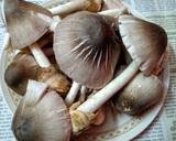 Mushroom Santula recipe step 1 photo