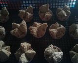 Foto langkah ke 5 dari resep Bolkus mekar (bolu ketawa).