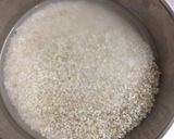 A picture of step 1 of Barley Dalia.