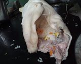 Foto del paso 3 de la receta: Cuero de conejo relleno