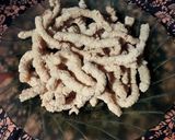 Foto langkah ke 3 dari resep Stick Tahu.