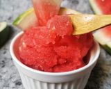 Foto langkah ke 4 dari resep Watermelon Sorbet 2 Bahan (Sorbet Semangka).