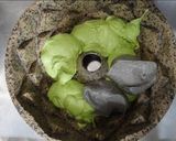 Foto langkah ke 10 dari resep Buttercake Pandan Ketan Hitam.