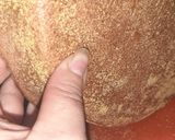 Foto del paso 2 de la receta: Tarta de espinaca con masa integral