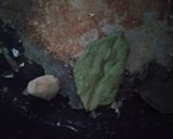 Foto langkah ke 2 dari resep Gerd Nasi goreng kencur daun jeruk(tanpa minyak/butter/margarin).