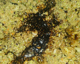 Foto del paso 3 de la receta: Hamburguesa vegetal