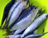 Foto del paso 1 de la receta: Montaditos de sardinas gigantes al fish masala