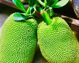 A picture of step 1 of Raw Jackfruit / Kathal Ke Kofta Curry.