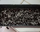 Foto langkah ke 5 dari resep Brownies Pisang Kacang Wijen (Gluten Free).