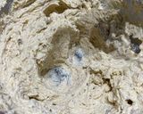 Foto del paso 1 de la receta: Snickerdoodles (galletas de azúcar)
