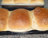 Foto del paso 11 de la receta: Pan de leche japonés - Hokkaido
