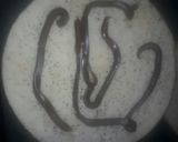 Foto del paso 2 de la receta: Torta de feliz cumpleaños 🎂🎂🎂🎂🎂!!!!!😍😍😍😍para mí bb