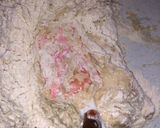 A picture of step 4 of Homemade white bread.