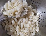 ચીઝ માયોનીઝ પાસ્તા (Cheese Mayonise Pasta Recipe In Gujarati) રેસીપી સ્ટેપ2ફોટો