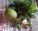 कच्चे आम की चटनी (Kache aam ki chutney recipe in Hindi) रेसिपी चरण 1 फोटो