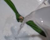 Foto langkah ke 7 dari resep Cendol Thailand.