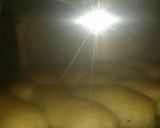 Foto langkah ke 7 dari resep Roti Abon.
